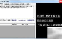 整站下载工具教程