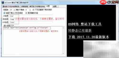 整站下载工具教程