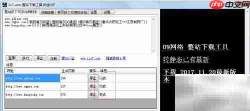 整站下载工具教程