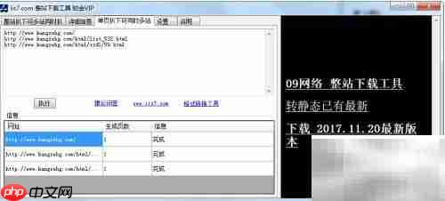 整站下载工具教程