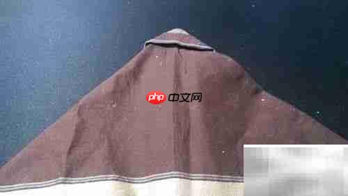 春光餐巾制作方法