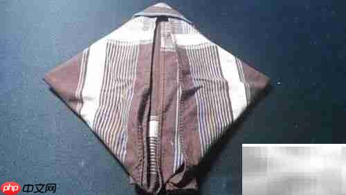 春光餐巾制作方法