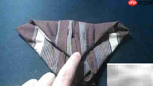 春光餐巾制作方法