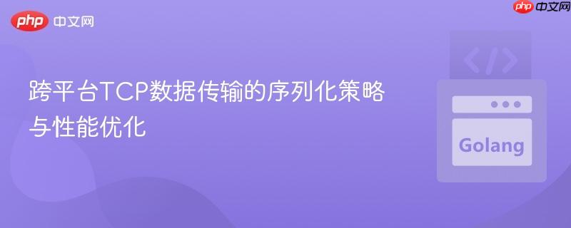 跨平台TCP数据传输的序列化策略与性能优化