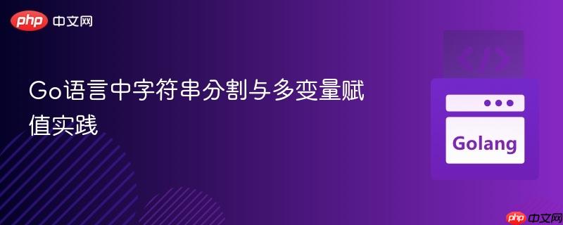Go语言中字符串分割与多变量赋值实践
