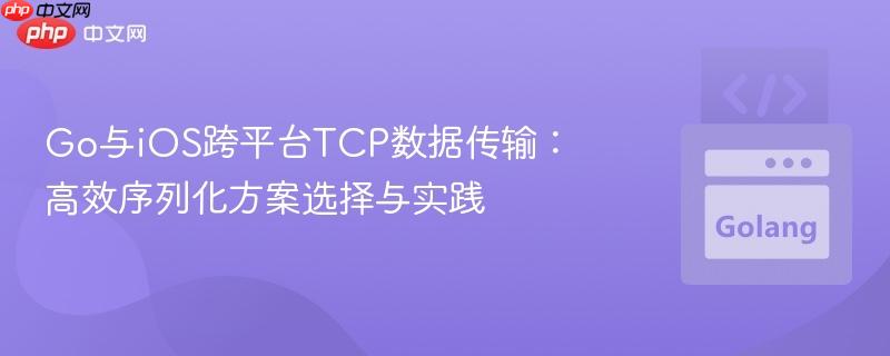 Go与iOS跨平台TCP数据传输：高效序列化方案选择与实践