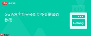 Go语言字符串分割与多变量赋值教程