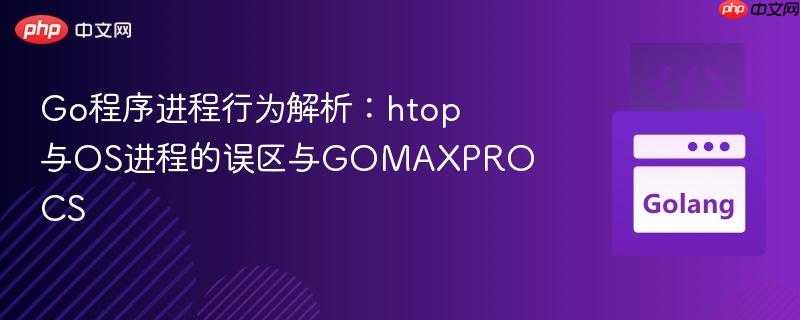 go程序进程行为解析：htop与os进程的误区与gomaxprocs
