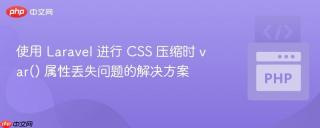 使用 Laravel 进行 CSS 压缩时 var() 属性丢失问题的解决方案