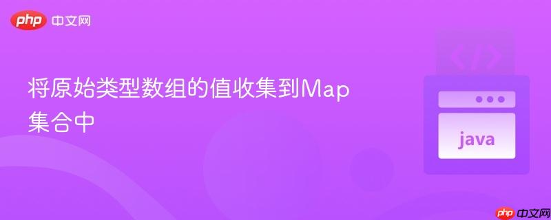 将原始类型数组的值收集到Map集合中