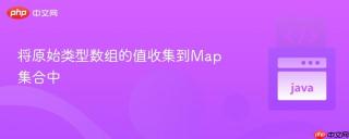 将原始类型数组的值收集到Map集合中