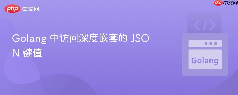 golang 中访问深度嵌套的 json 键值