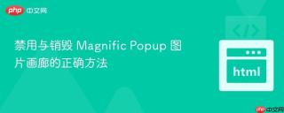 禁用与销毁 Magnific Popup 图片画廊的正确方法