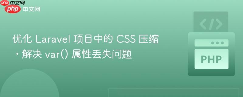 优化 laravel 项目中的 css 压缩，解决 var() 属性丢失问题