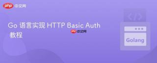 Go 语言实现 HTTP Basic Auth 教程