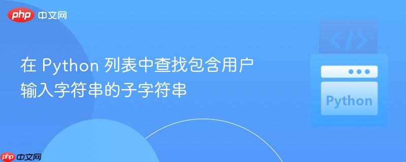 在 python 列表中查找包含用户输入字符串的子字符串