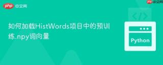 如何加载HistWords项目中的预训练.npy词向量