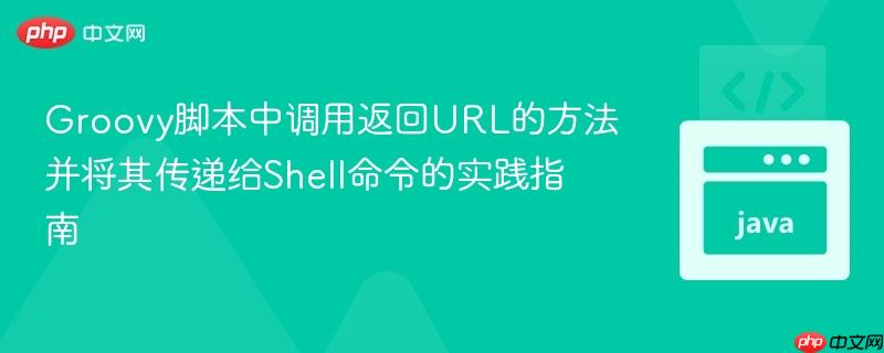 Groovy脚本中调用返回URL的方法并将其传递给Shell命令的实践指南
