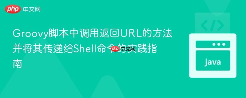 Groovy脚本中调用返回URL的方法并将其传递给Shell命令的实践指南