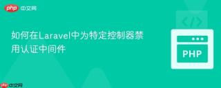如何在Laravel中为特定控制器禁用认证中间件