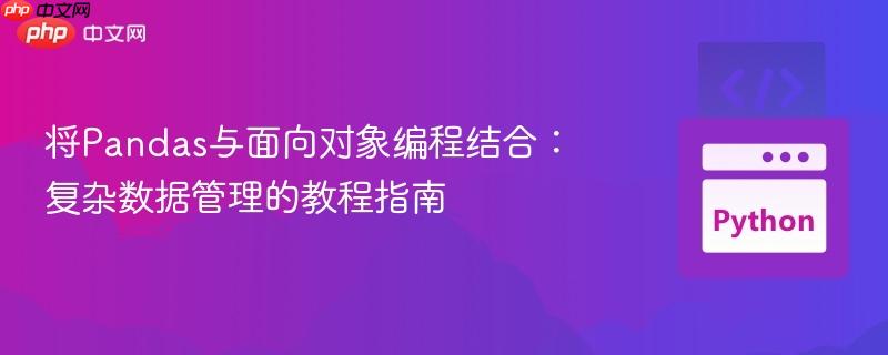 将Pandas与面向对象编程结合：复杂数据管理的教程指南