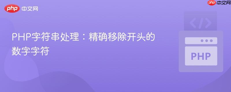 PHP字符串处理：精确移除开头的数字字符