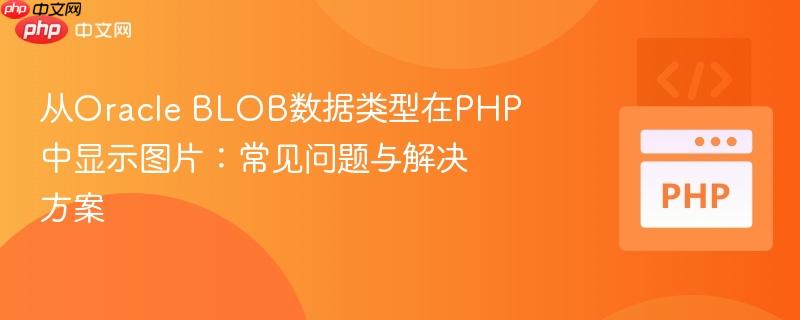 从Oracle BLOB数据类型在PHP中显示图片：常见问题与解决方案
