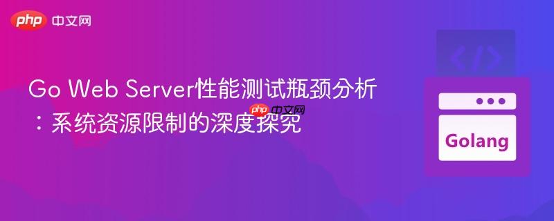 Go Web Server性能测试瓶颈分析：系统资源限制的深度探究