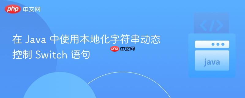 在 Java 中使用本地化字符串动态控制 Switch 语句