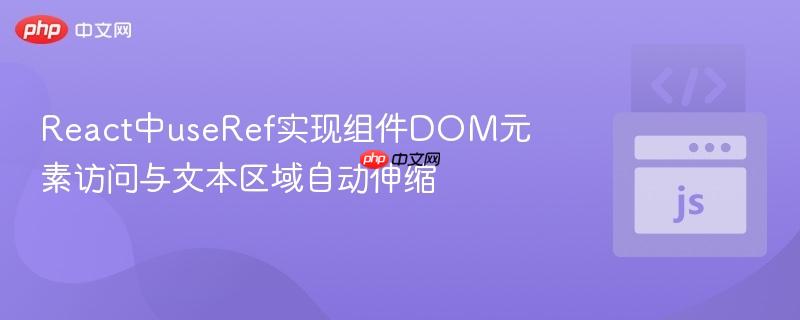 React中useRef实现组件DOM元素访问与文本区域自动伸缩