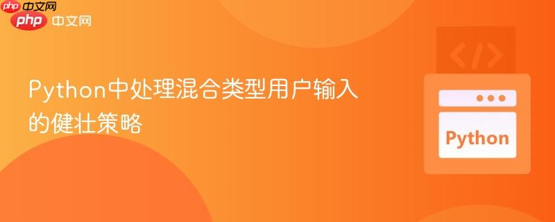 Python中处理混合类型用户输入的健壮策略