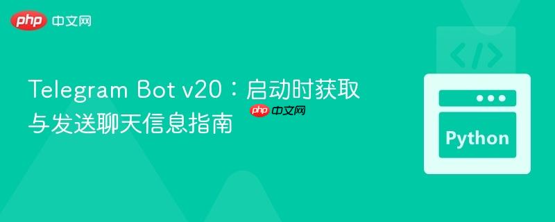 Telegram Bot v20：启动时获取与发送聊天信息指南