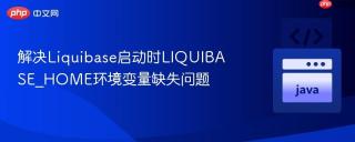 解决Liquibase启动时LIQUIBASE_HOME环境变量缺失问题
