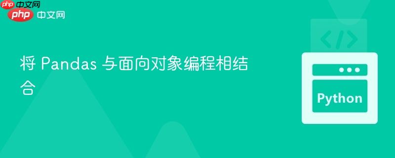 将 Pandas 与面向对象编程相结合