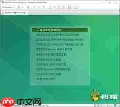 VMware如何装大容量Ghost
