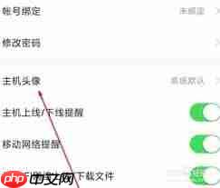向日葵远程控制如何使用 向日葵远程控制电脑怎么修改头像