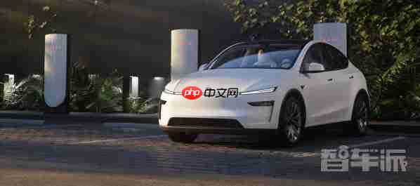 韩国进口车销量破纪录！特斯拉model y成最热卖车型