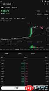 BCH币是否值得长期持有