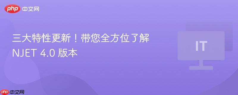 三大特性更新！带您全方位了解 NJET 4.0 版本