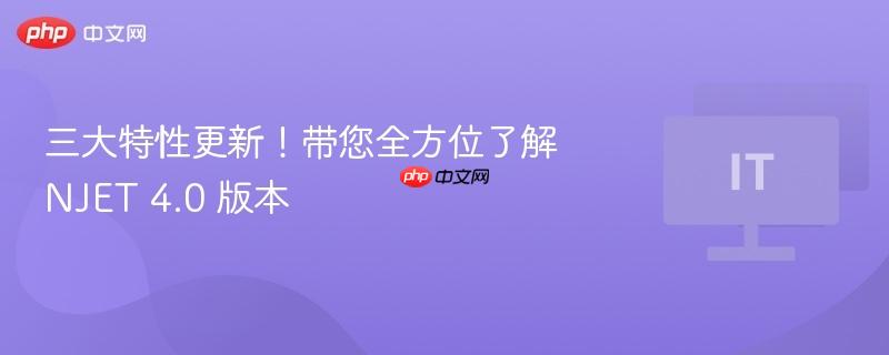 三大特性更新!带您全方位了解 njet 4.0 版本