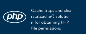 PHP ファイル権限を取得するためのキャッシュ トラップと clearstatcache() ソリューション
