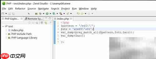 PHP正则表达式入门