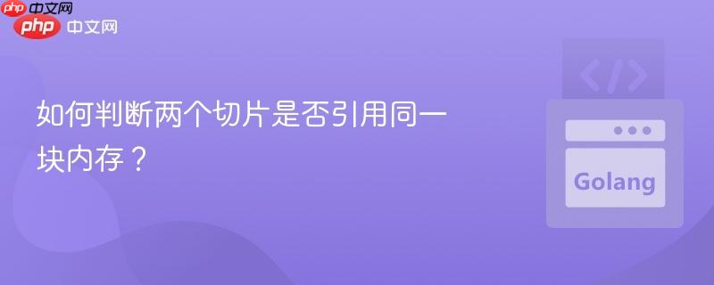 如何判断两个切片是否引用同一块内存？