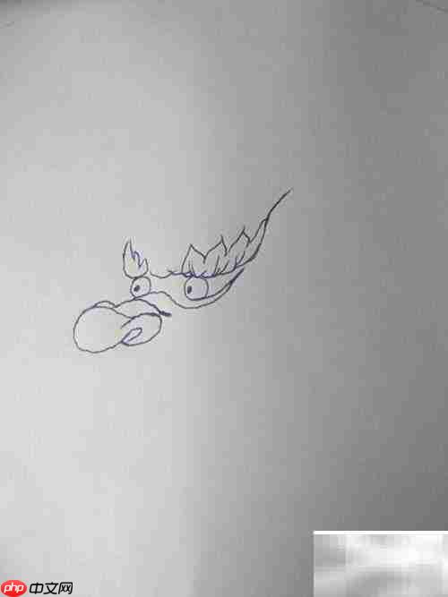 中国龙绘画步骤详解