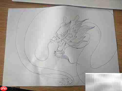 中国龙绘画步骤详解