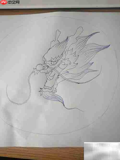 中国龙绘画步骤详解