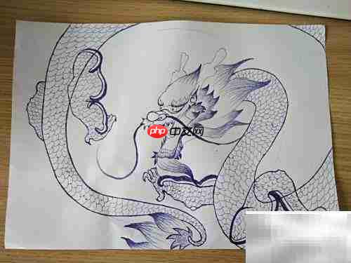 中国龙绘画步骤详解