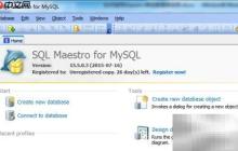 Maestro导出数据库指南