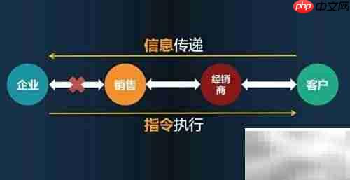 品牌空白市场操作指南