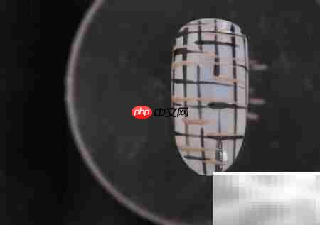 金线毛格子美甲教程